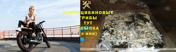 амф Абдулино