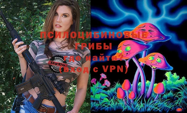 амф Абдулино